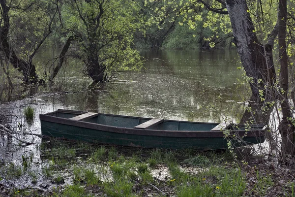 Río Tisa Fluye Silenciosamente Través Llanura Barco Pesca Están Atados — Foto de Stock