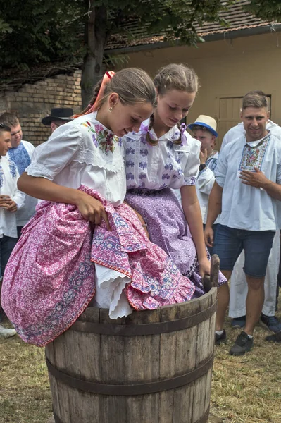 Aradac Serbia Września 2019 Gołe Stopy Dziewczyny Gazują Winogrona Tradycyjne — Zdjęcie stockowe