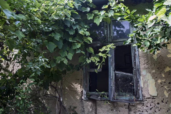 Antigua Granja Abandonada Ornamentada Vojvodina —  Fotos de Stock