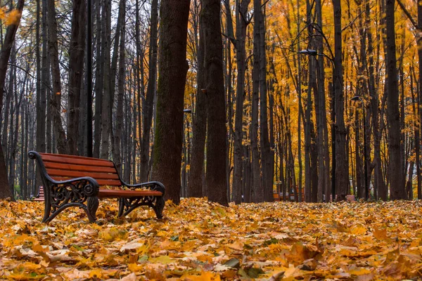 O outono no Jardim Neskuchny . — Fotografia de Stock