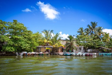 Köyün Nehri yakınında ormanda.