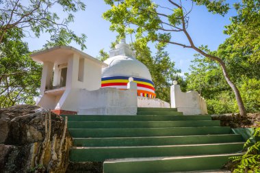 Nehirde bir adada Budist tapınağı.