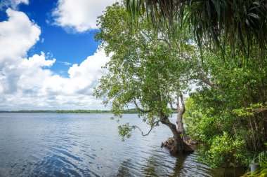 Güzel nehir manzarası.