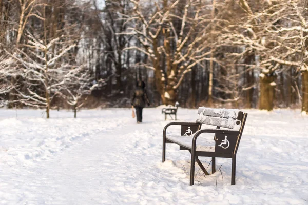 Прогулка со скамейками в зимнем парке . — стоковое фото