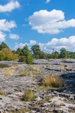 bir jeolojik rock park panorama görünümünü