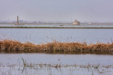 panoramik izole bir evin ortasında bir lagün yüzey albufera's Park Valencia, İspanya