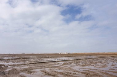 panoramik izole bir evin ortasında bir lagün yüzey albufera's Park Valencia, İspanya