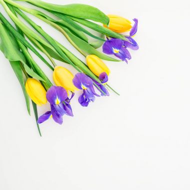 Beyaz renkli yaz çiçek