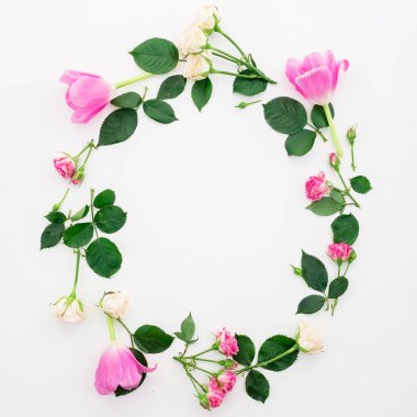 Beyaz renkli farklı çiçekler