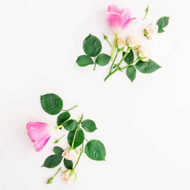 Beyaz renkli farklı çiçekler