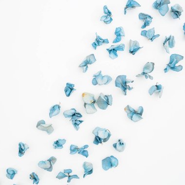 Mavi kurutulmuş çiçek yaprakları