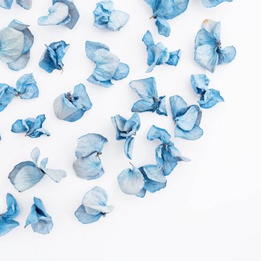 Mavi kurutulmuş çiçek yaprakları