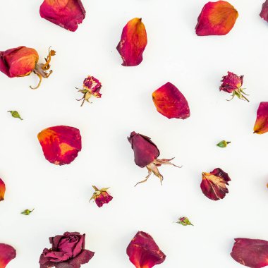  Beyaz arkaplanda izole güller