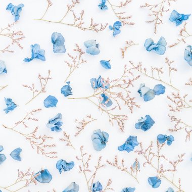 Mavi kurutulmuş çiçek yaprakları ve twigs