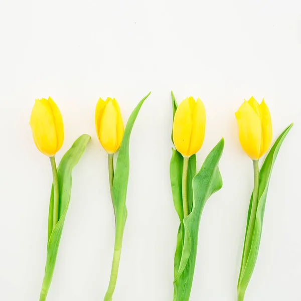 Belas flores de tulipa amarela no branco — Fotografia de Stock