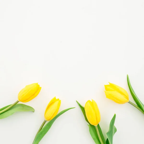 Belas flores de tulipa amarela no branco — Fotografia de Stock