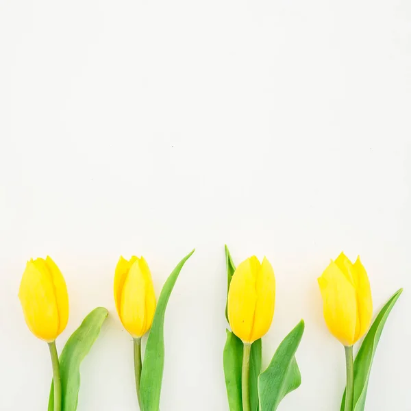 Belas flores de tulipa amarela no branco — Fotografia de Stock