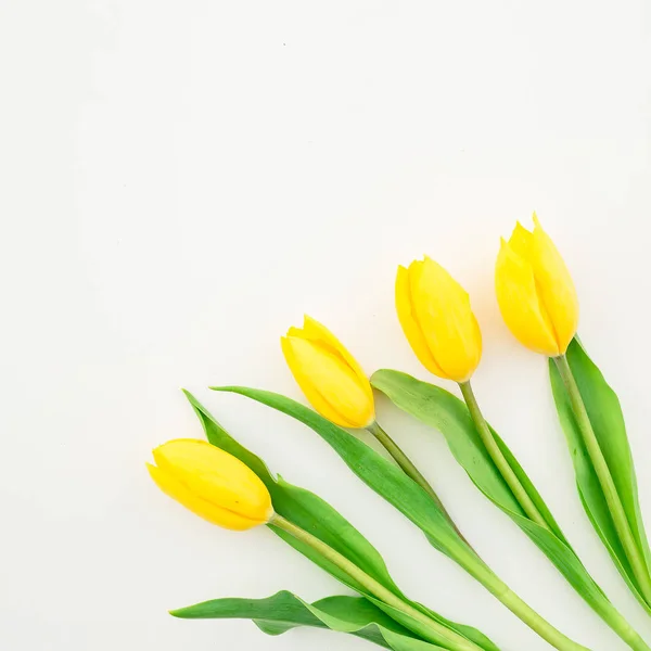 Mooie gele tulp bloemen op wit — Stockfoto