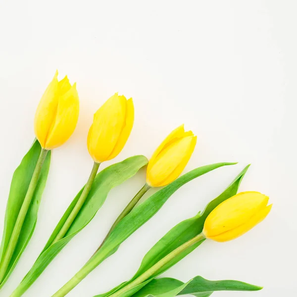 Schöne gelbe Tulpenblüten auf weißem Grund — Stockfoto