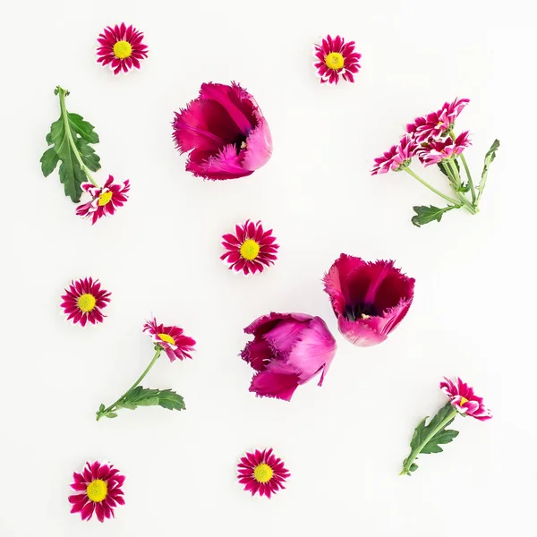 Flores diferentes de colores en blanco — Foto de Stock