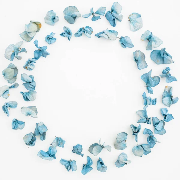 Pétalos de flores secas azules — Foto de Stock