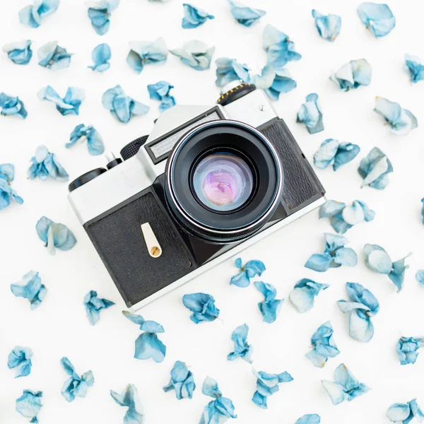 vintage camera laying on flower petals