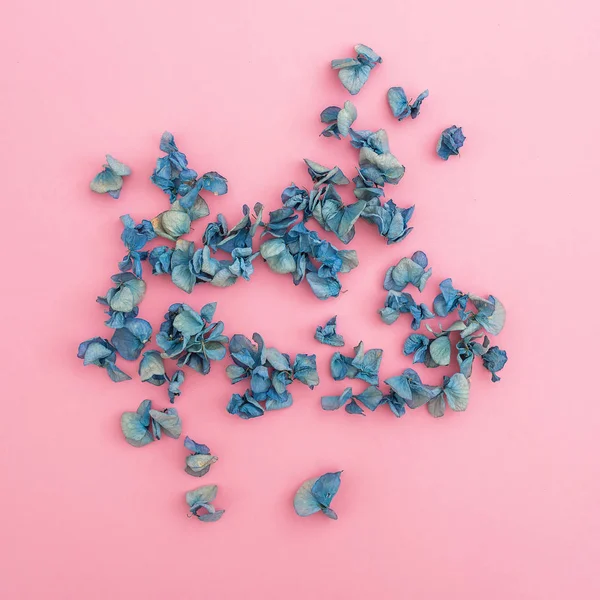 Fundo floral com flores azuis — Fotografia de Stock