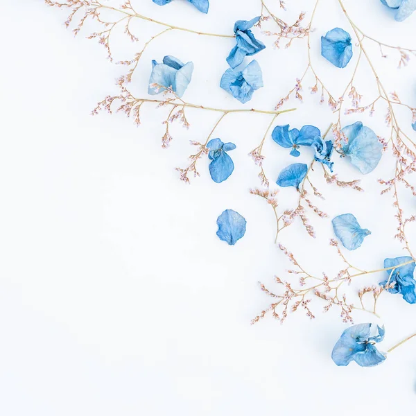 Pétales et brindilles de fleurs séchées bleues — Photo