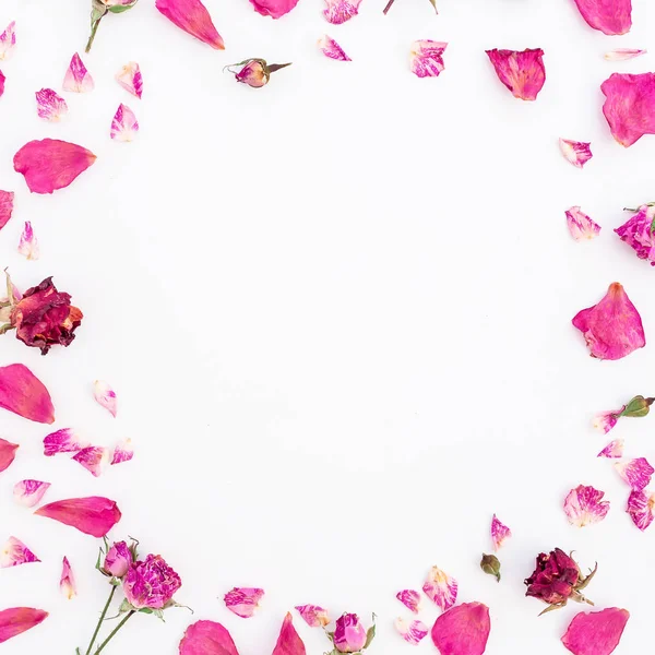 Květinové rám s růží — Stock fotografie