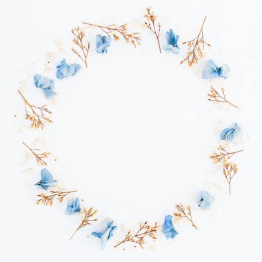 Mavi kurutulmuş çiçek yaprakları ve twigs