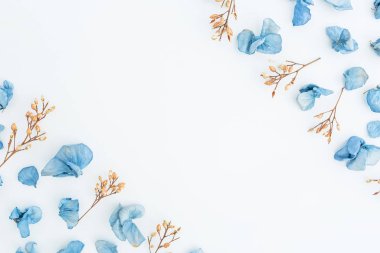 Mavi kurutulmuş çiçek yaprakları ve twigs