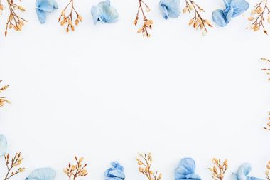 Mavi kurutulmuş çiçek yaprakları ve twigs