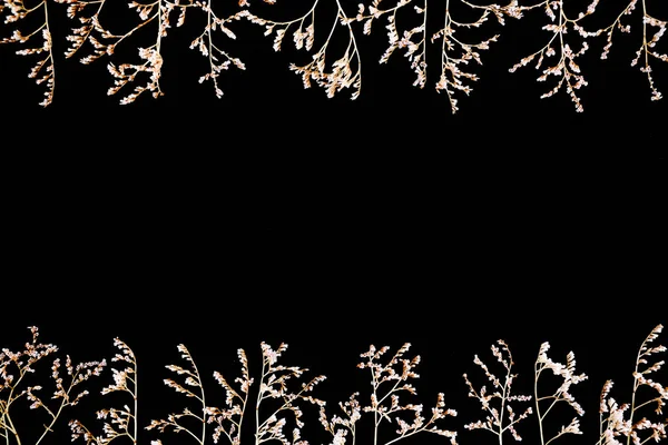 검은 배경에 고립 마른 꽃 — 스톡 사진