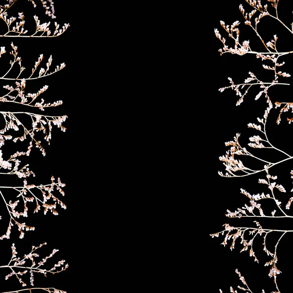검은 배경에 고립 마른 꽃 — 스톡 사진