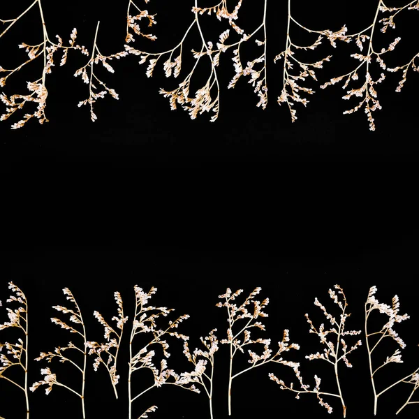 Dry flowers isolated on black background — Stock Photo, Image