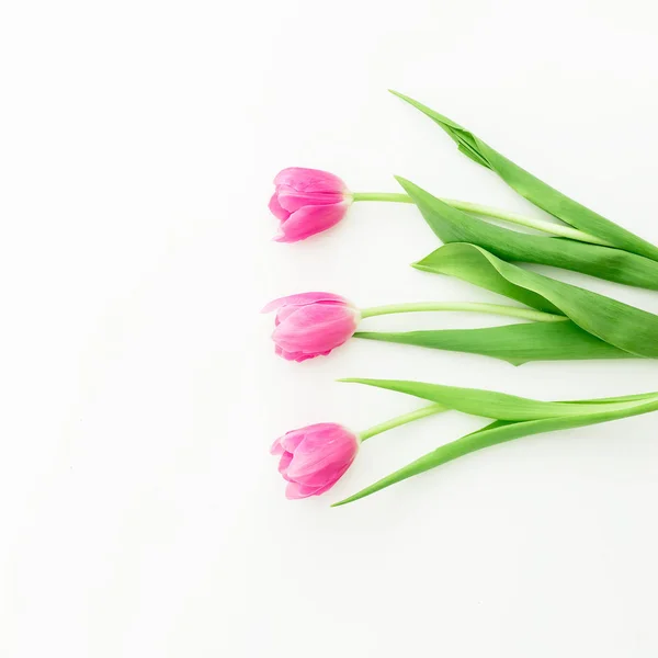 Roze tulp bloemen op wit — Stockfoto