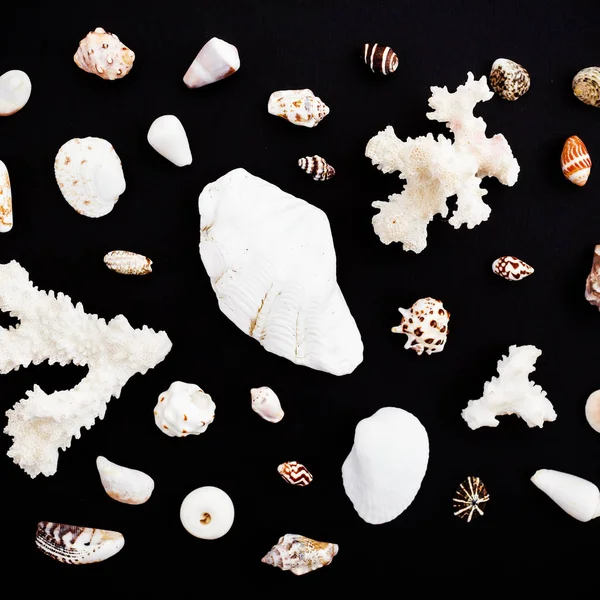 Deniz mercan ve kabukları yere sererim — Stok fotoğraf