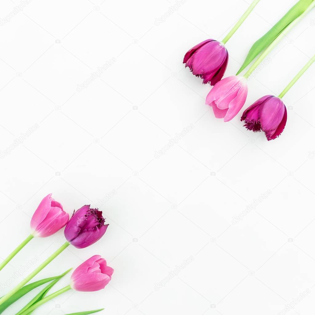 pink and purple tulip flowers
