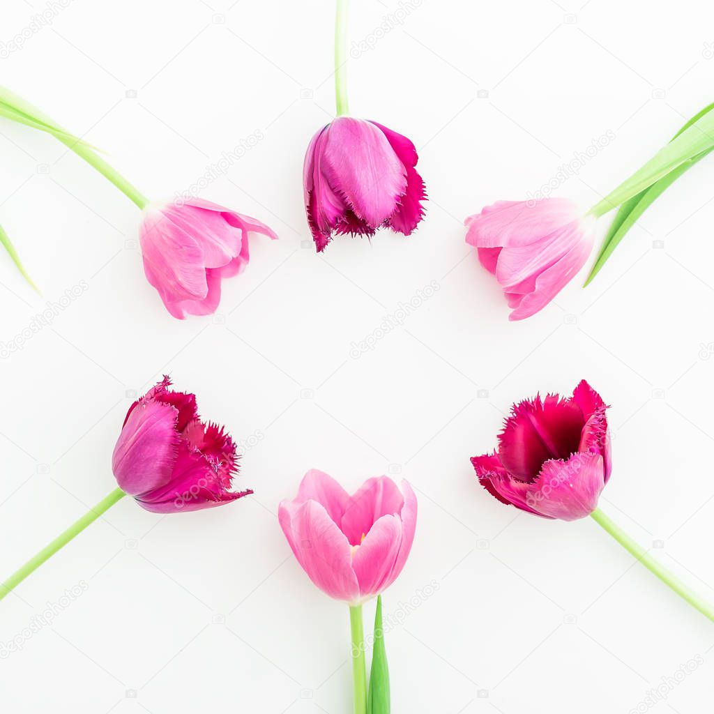 pink and purple tulip flowers