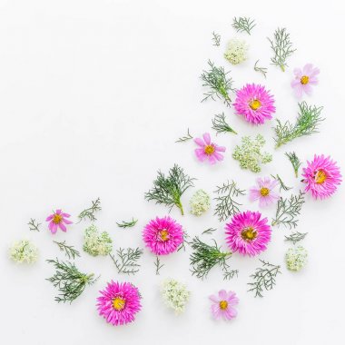 Beyaz renkli farklı çiçekler