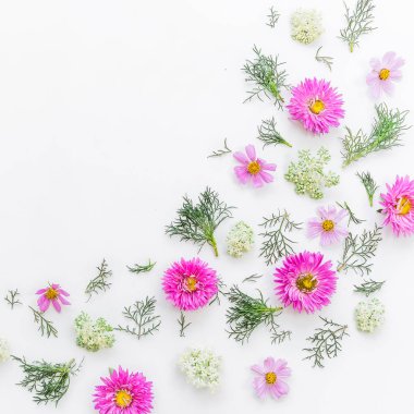 Beyaz renkli farklı çiçekler