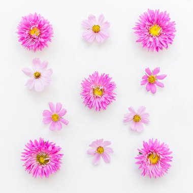 Beyaz renkli farklı çiçekler