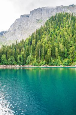 Nehirli dağ manzarası