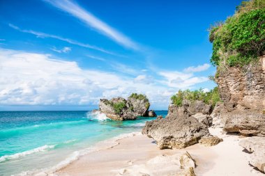 tropikal deniz manzarası kıyı gündüz