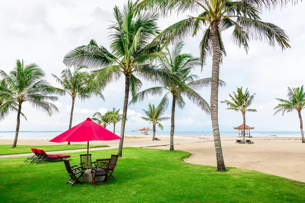 Pohled Písečné Pláže Palmami Židle Pod Deštníkem — Stock fotografie