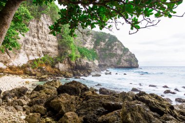 kayalık manzara okyanus sahilinde