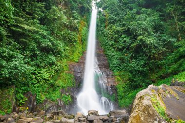 Gündüz, yeşil tropikal orman şelale