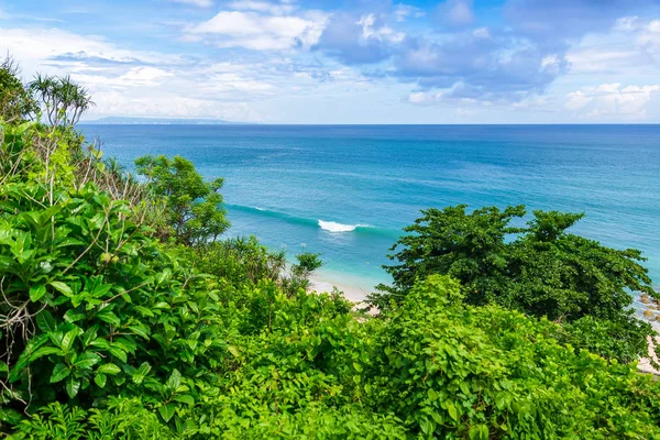 tropikal deniz manzarası kıyı gündüz