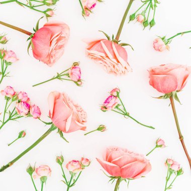 Beyaz renkli farklı çiçekler