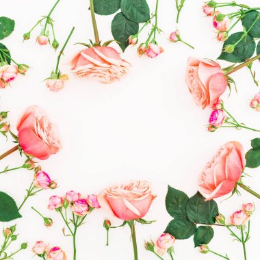 kopya alanı ile renkli çiçekler